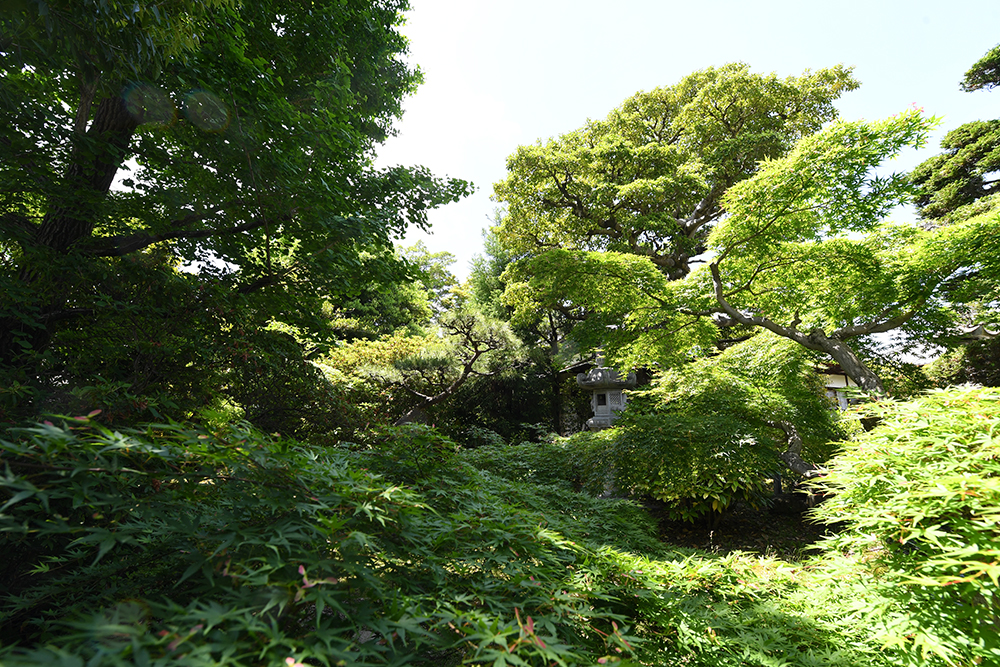 看板